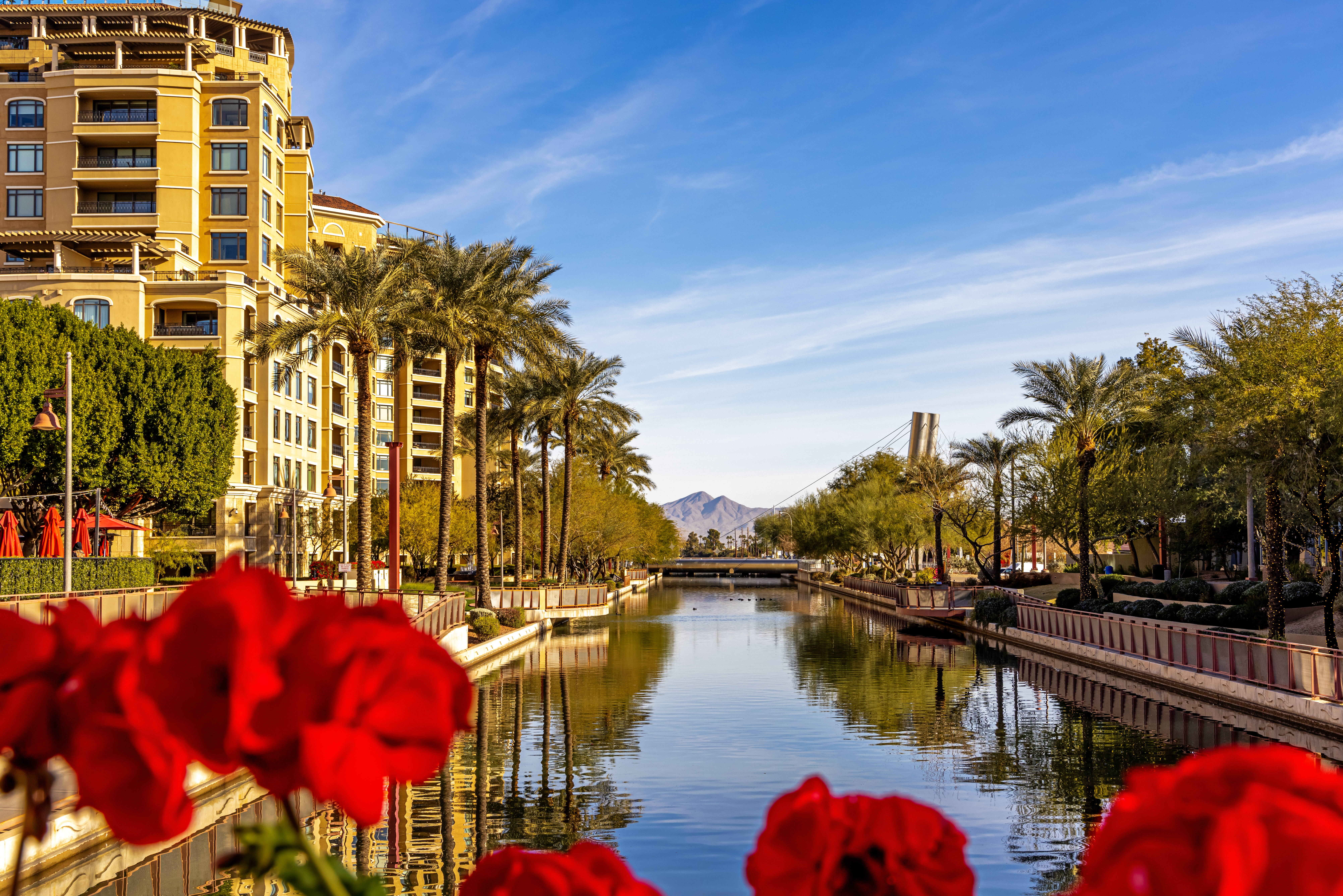 Old Town Scottsdale waterfront and palm-lined district